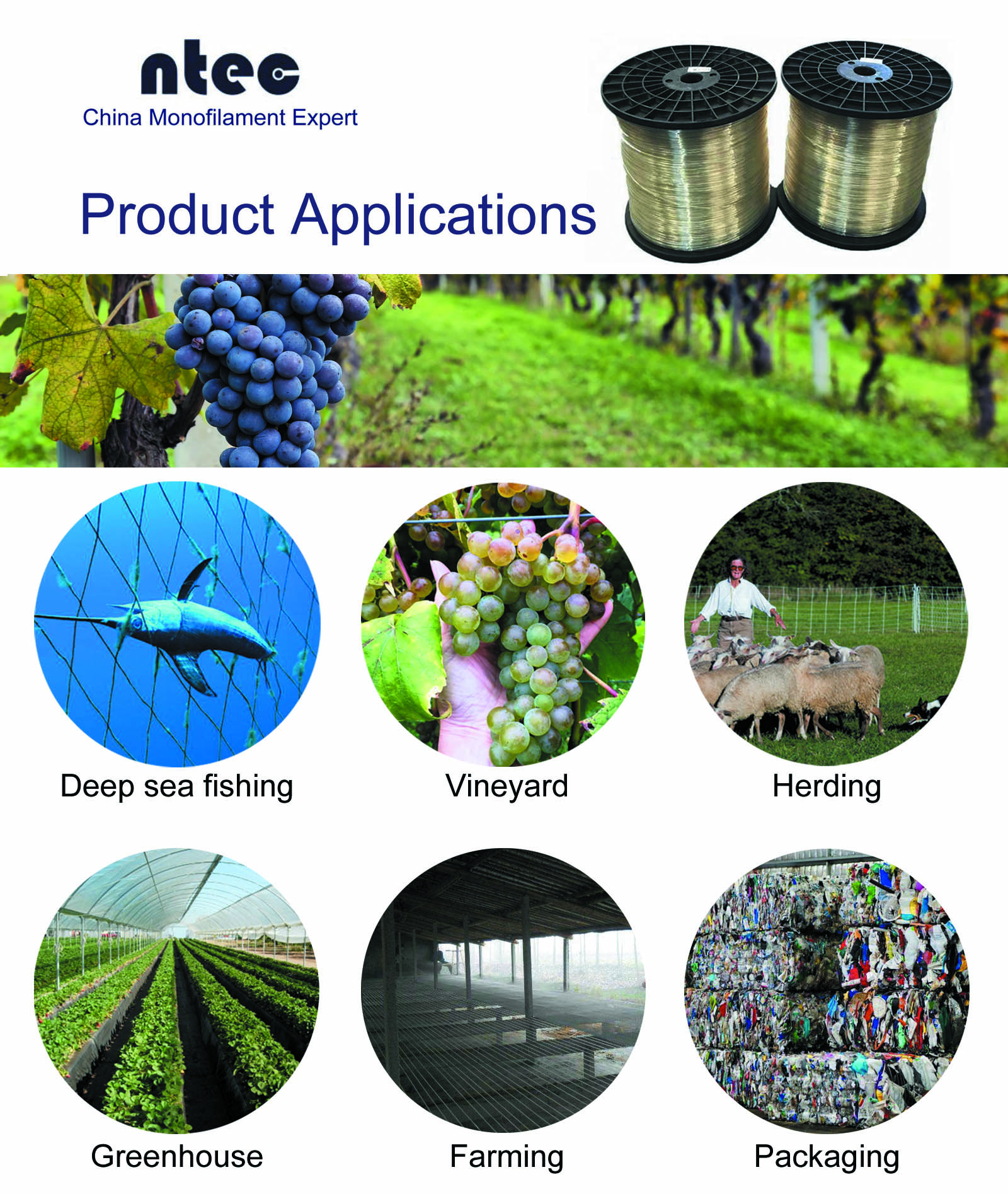 product-750-1 product-750-1
