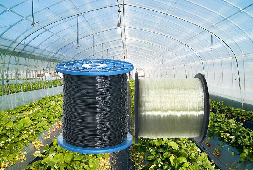 Polyester wire
